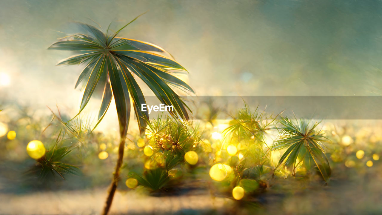sunlight, nature, plant, tree, yellow, branch, green, leaf, macro photography, sky, close-up, no people, beauty in nature, flower, land, environment, outdoors, morning, food and drink, sun, tropical climate, plant part, autumn, food, palm tree, growth, light, freshness, selective focus, tranquility, back lit, summer, backgrounds, fruit, scenics - nature, landscape, water, grass, travel, holiday, defocused, lens flare