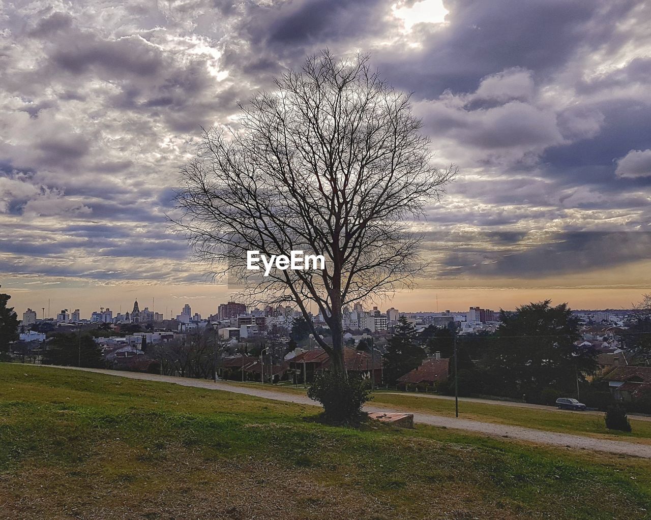 BARE TREE ON FIELD AGAINST SKY DURING SUNSET