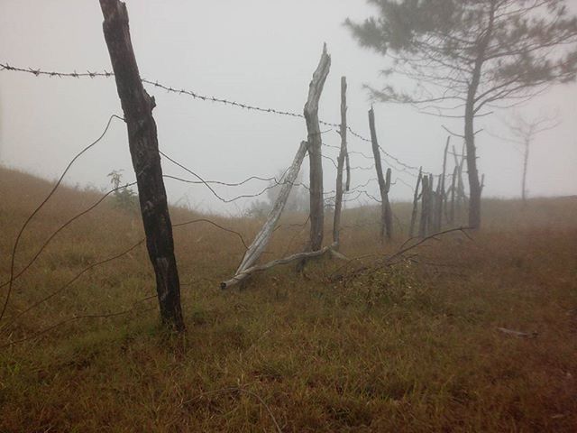 VIEW OF FIELD AGAINST SKY