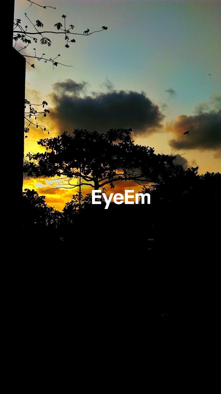 Silhouette houses by trees against cloudy sky