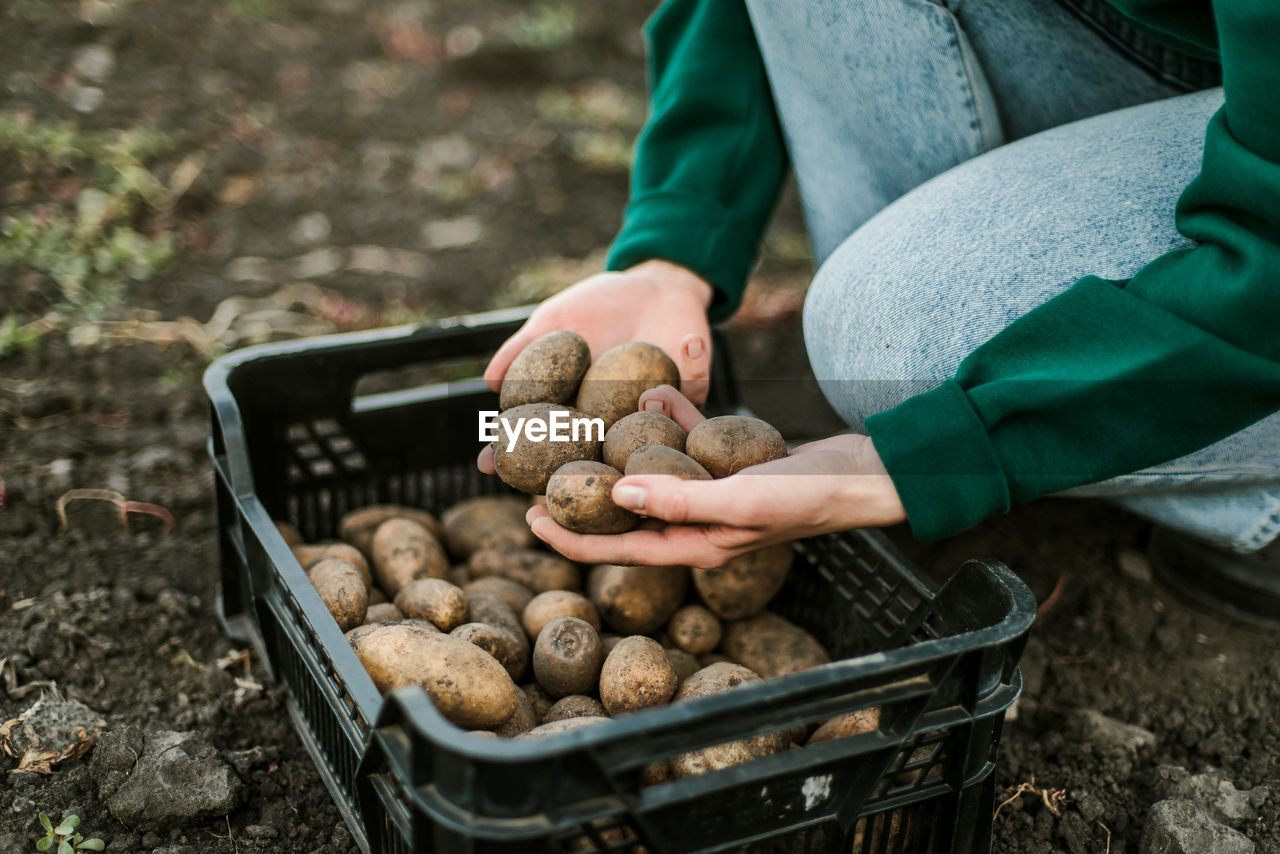 midsection of man preparing food for sale