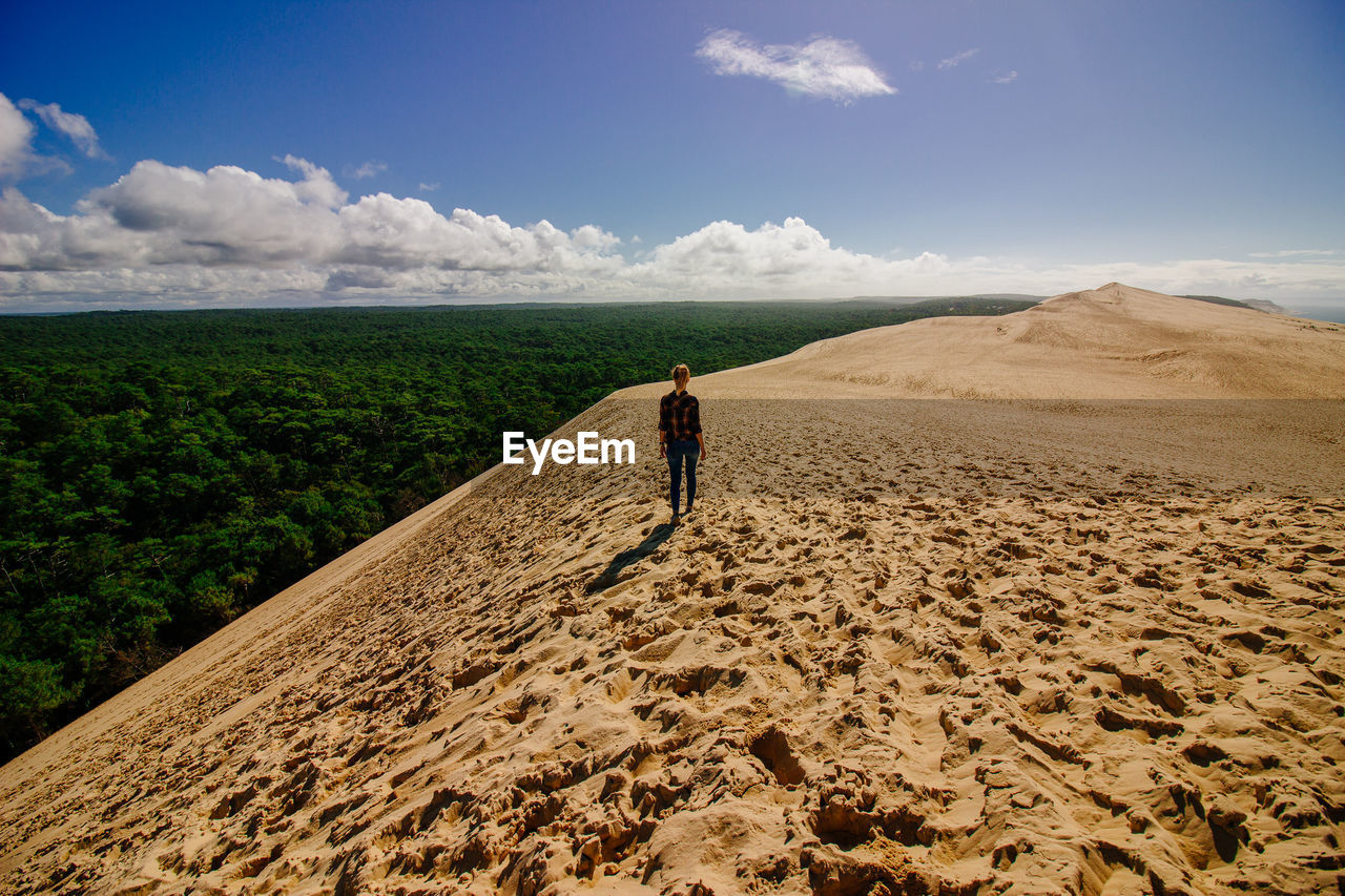 Rear view of woman standing on sand against forest