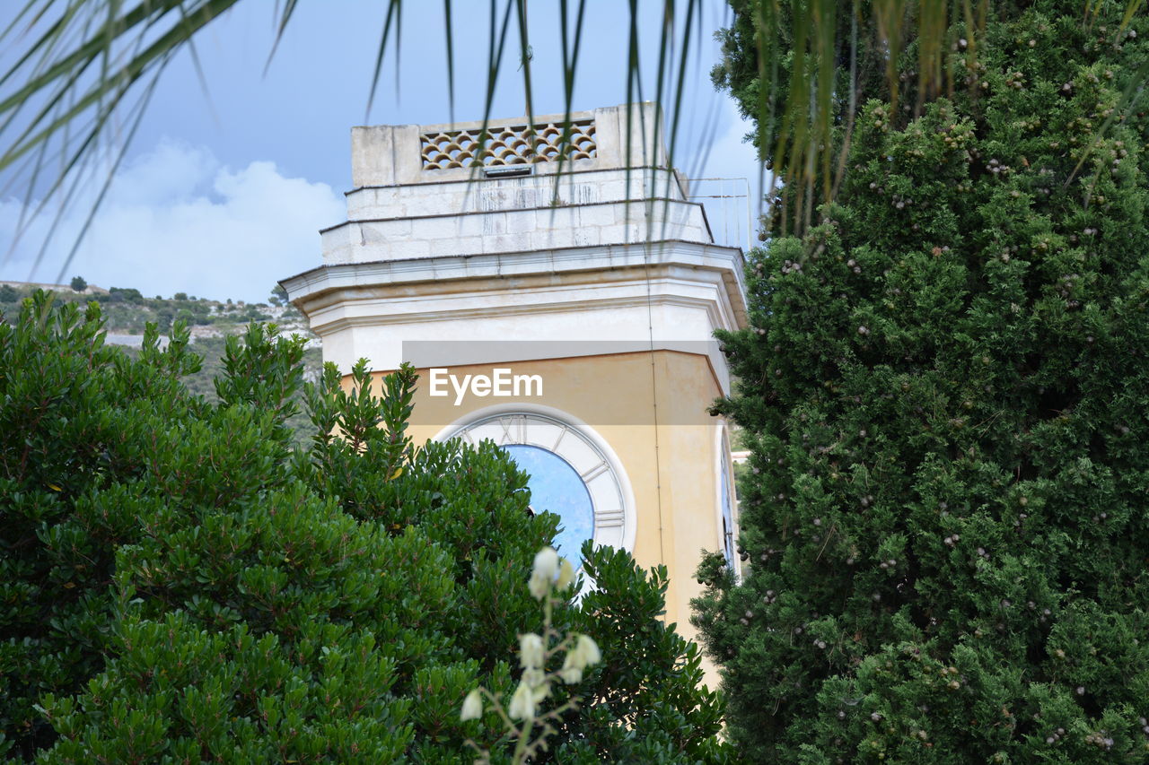 LOW ANGLE VIEW OF TREES AND BUILDING AGAINST SKY