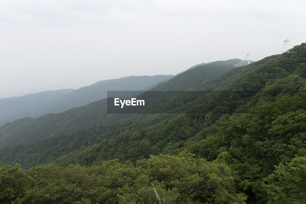 SCENIC VIEW OF GREEN LANDSCAPE AGAINST SKY