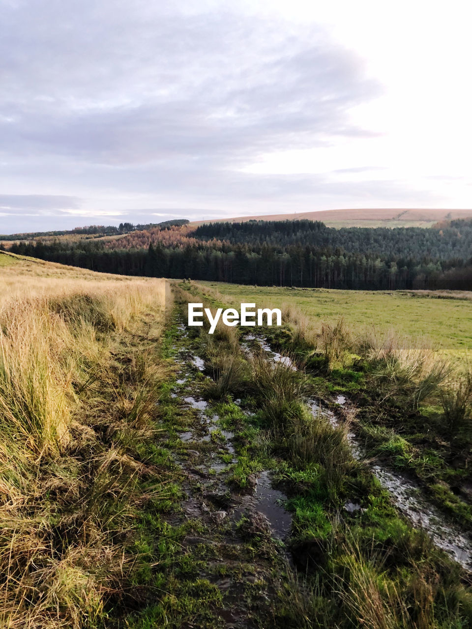 Scenic view of land against sky