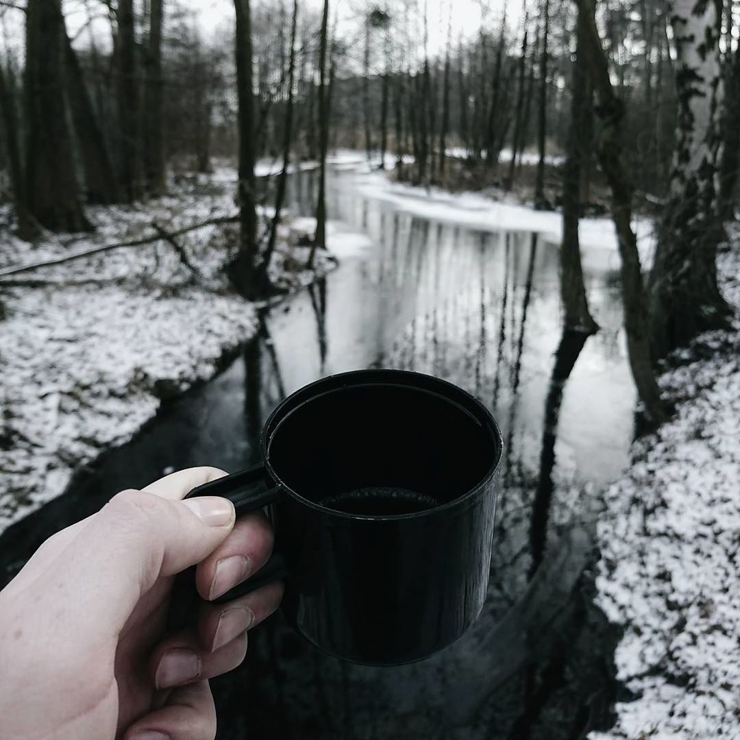 Close-up of hand holding coffee cup in forest during winter