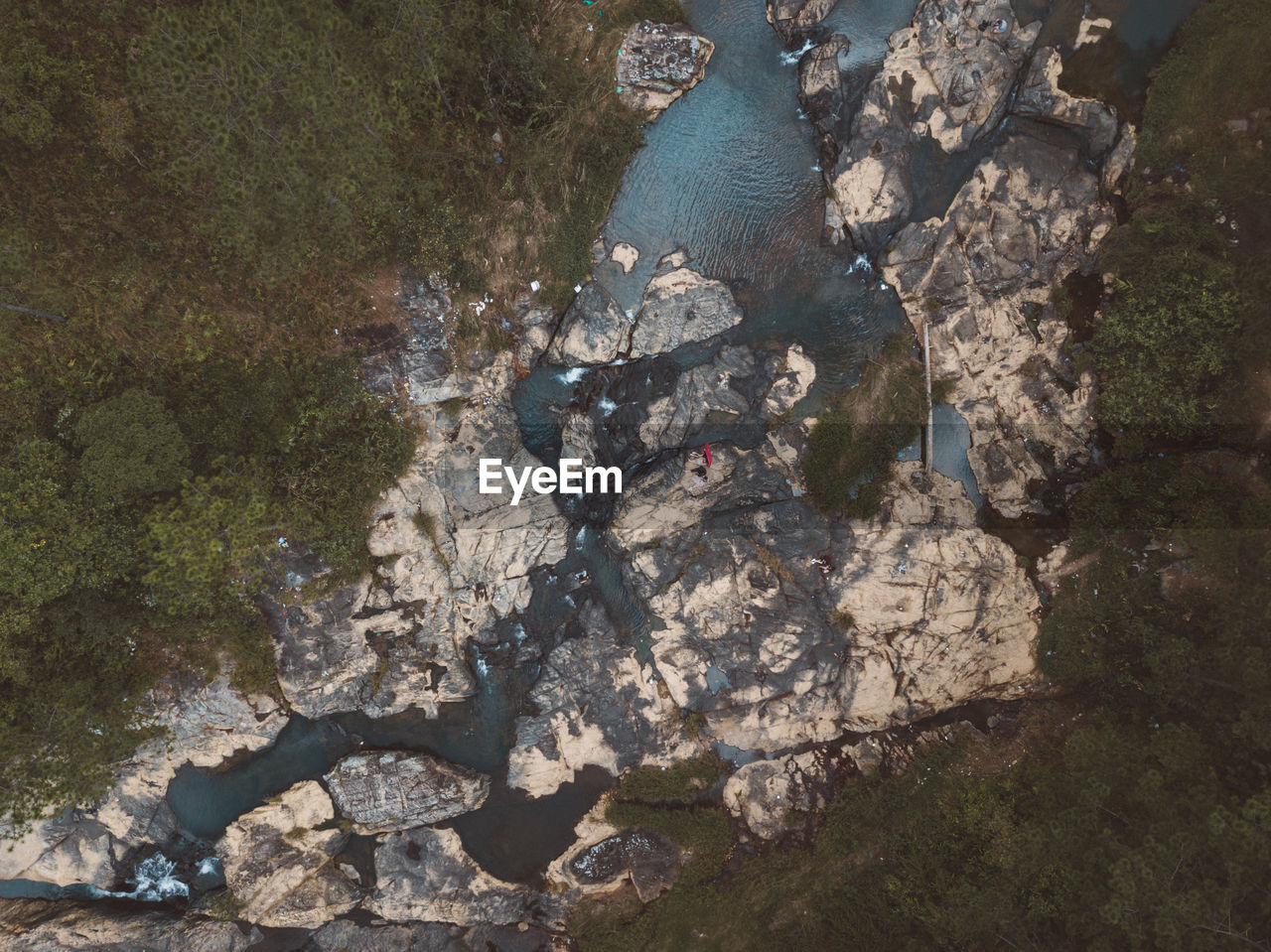 HIGH ANGLE VIEW OF LIZARD IN WATER