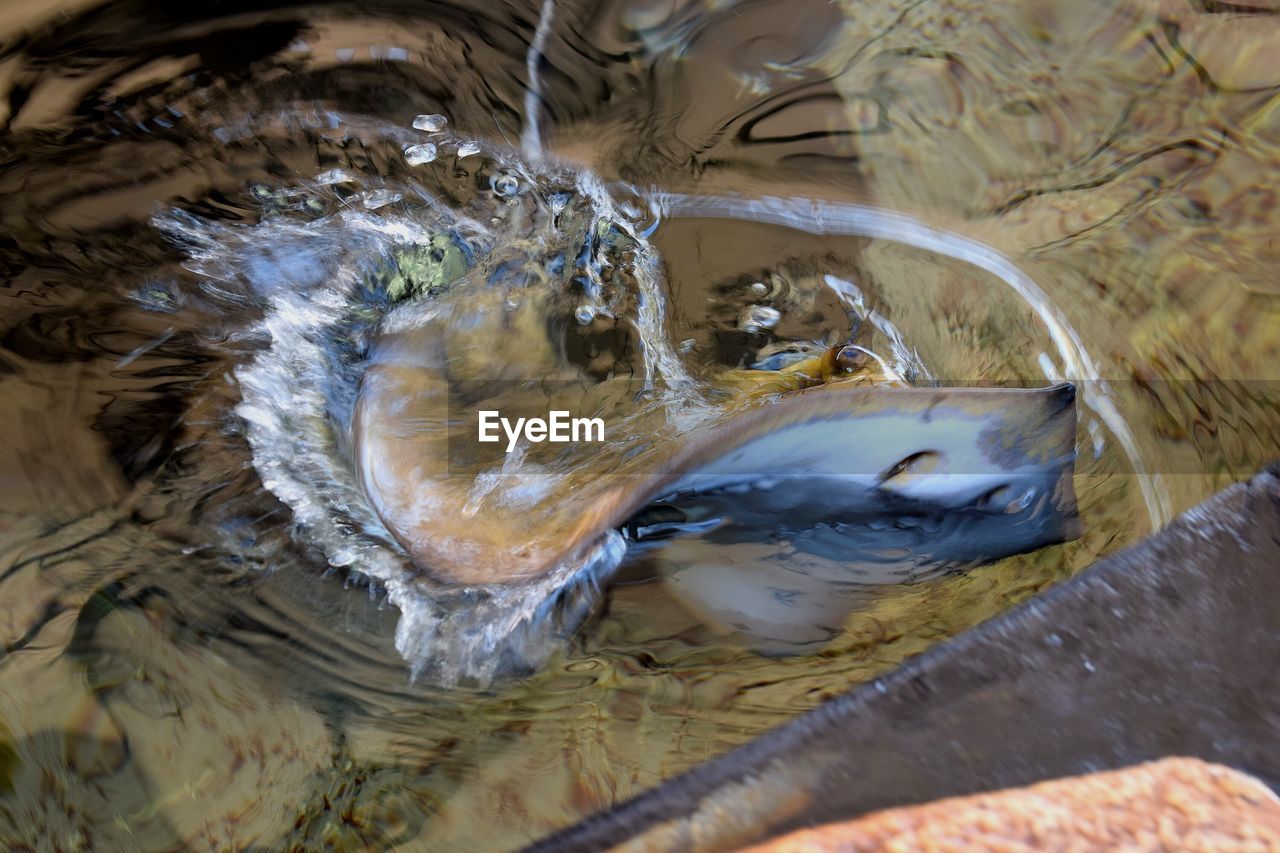 HIGH ANGLE VIEW OF WATER IN CONTAINER