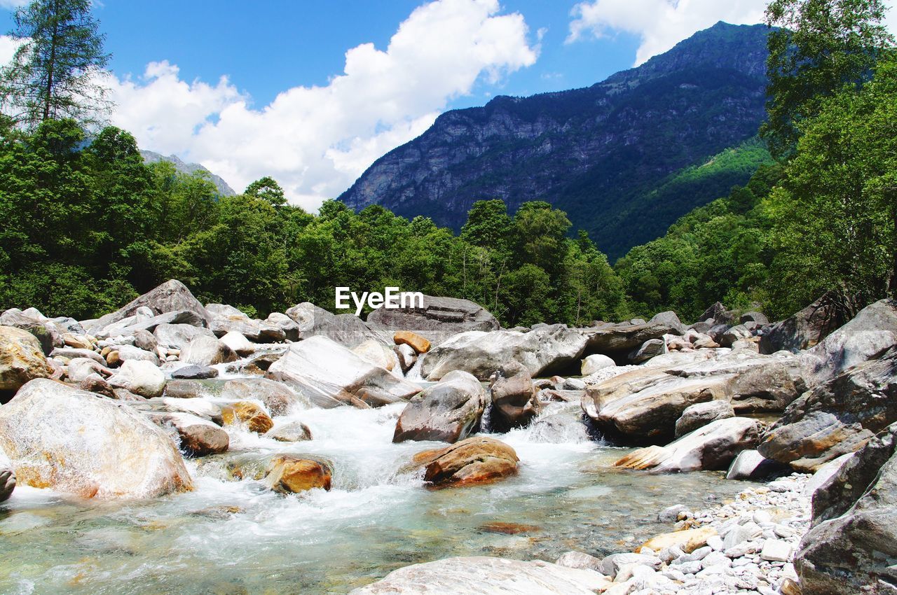 Scenic view of river flowing through rocks in forest