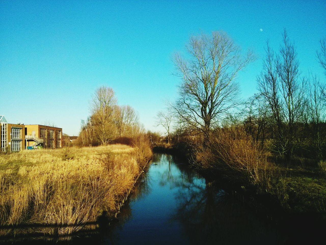 Stream with houses against clear blue sky