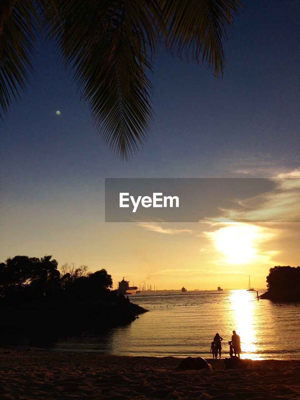Scenic view of beach and silhouette trees against sky during sunset