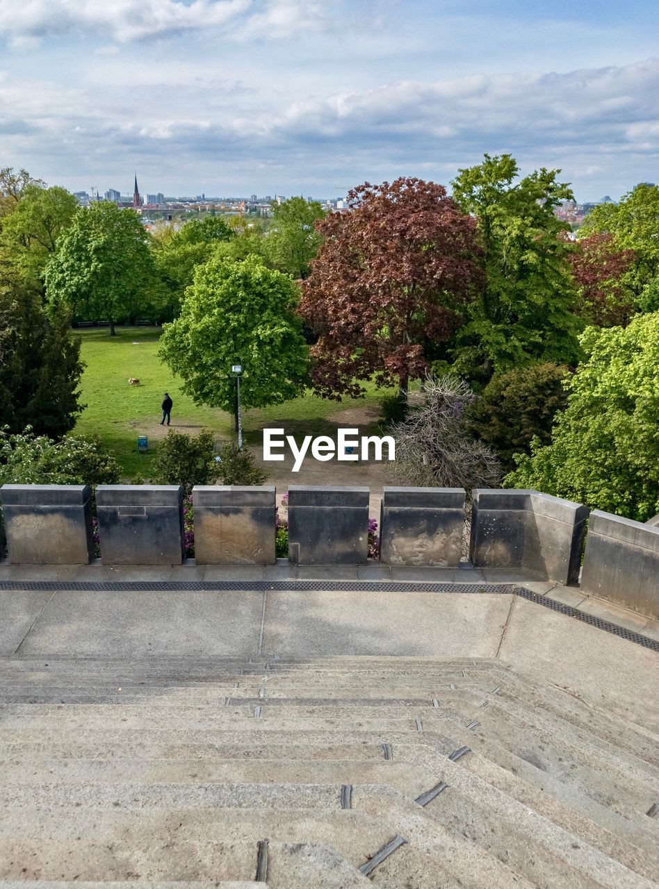 TREES IN PARK