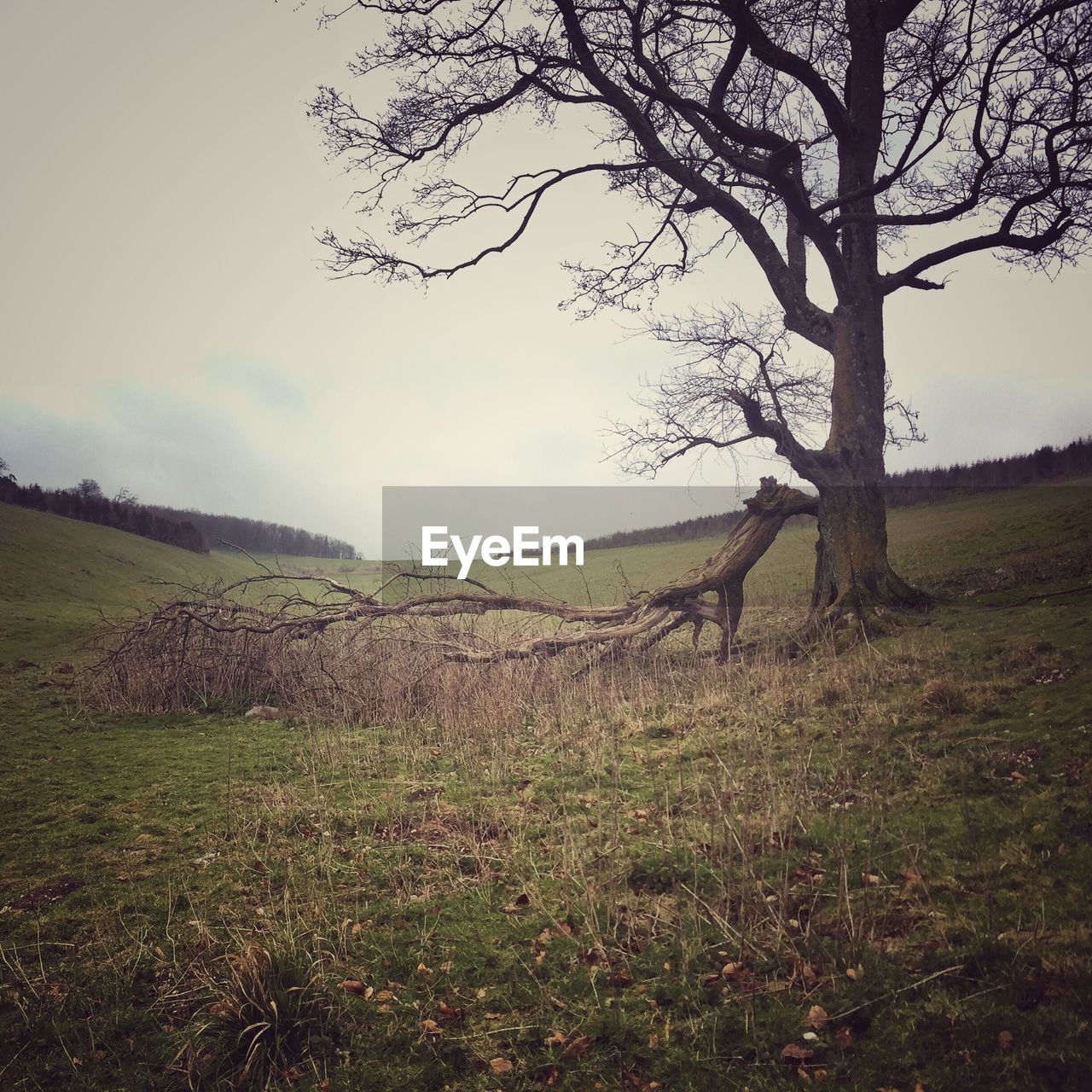 Scenic view of grassy field against cloudy sky