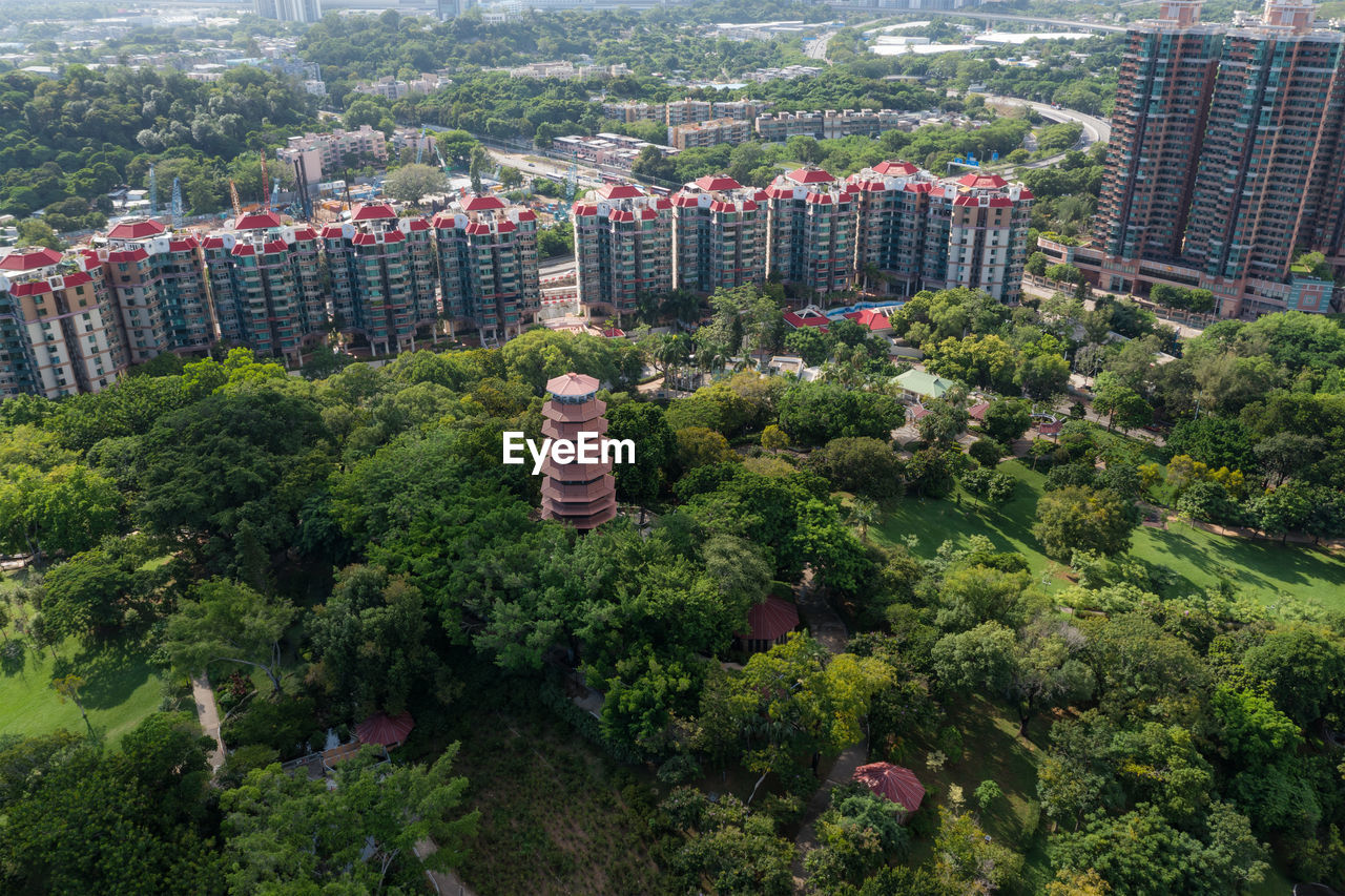 HIGH ANGLE VIEW OF TREES IN CITY