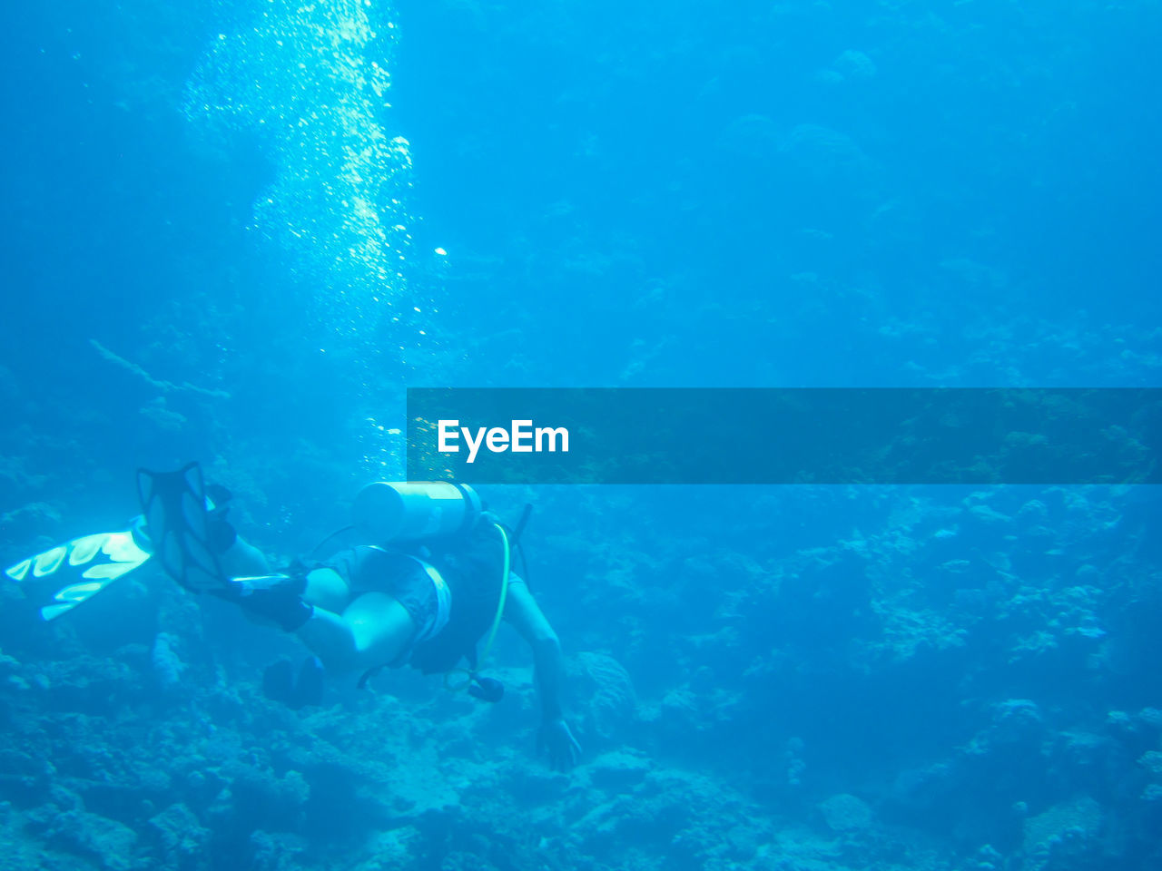 Man scuba diving in sea