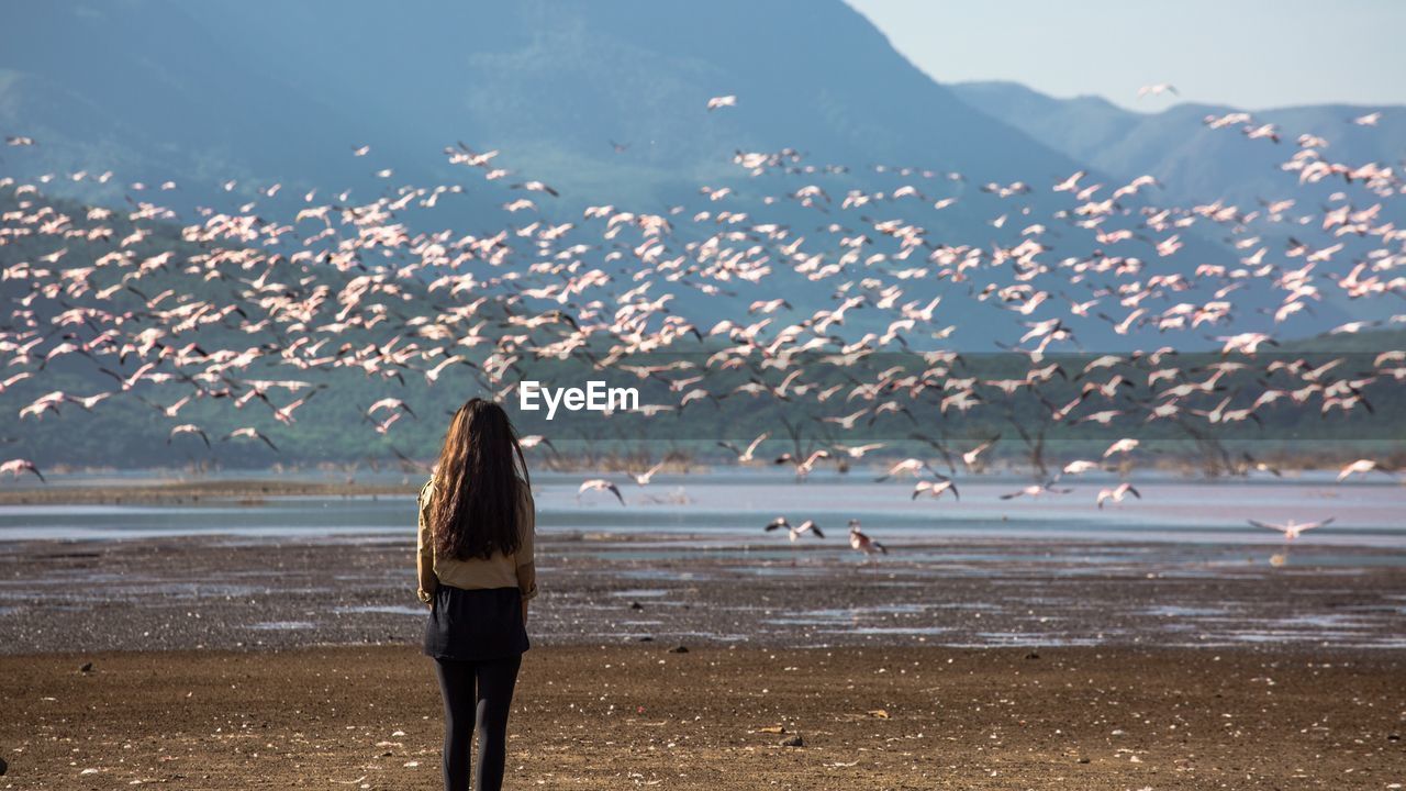 Rear view of woman standing at beach against sky