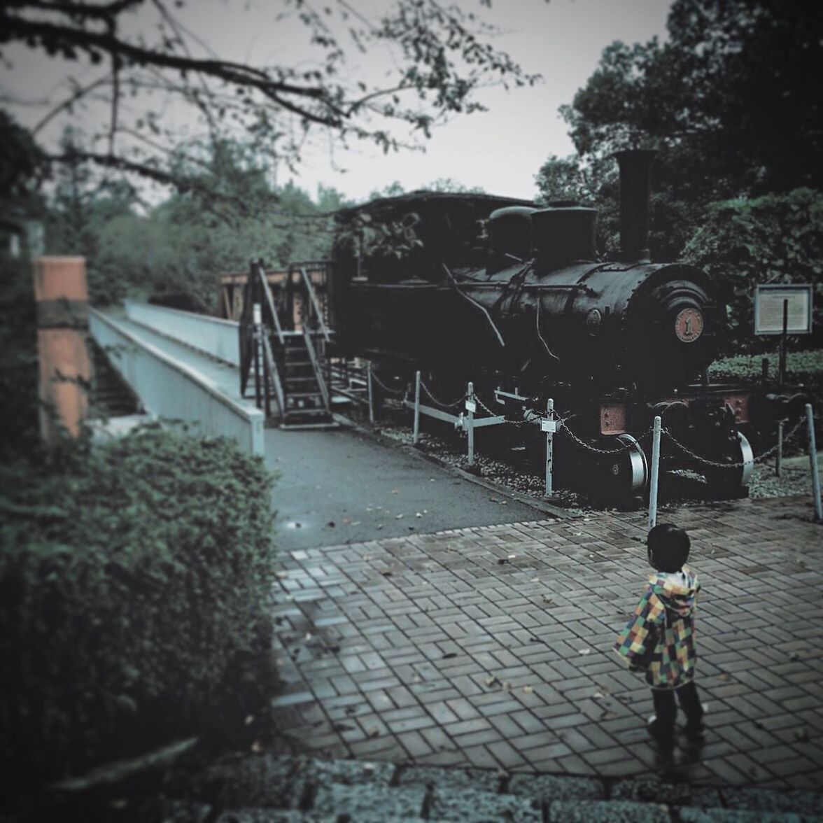 Rear view of boy standing by steam train