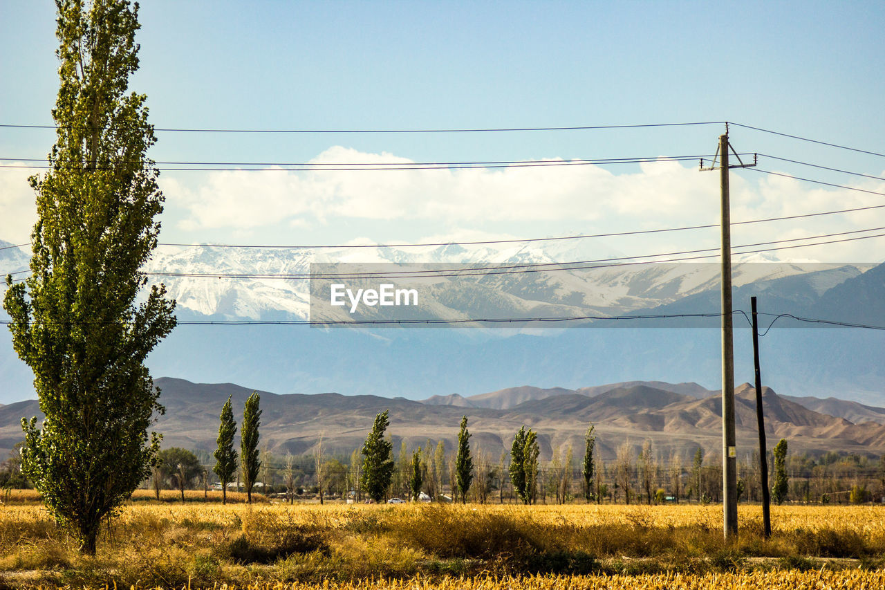 cable, electricity, landscape, sky, mountain, plant, nature, environment, scenics - nature, power line, electricity pylon, beauty in nature, land, tree, mountain range, no people, technology, rural area, tranquil scene, tranquility, rural scene, power supply, day, field, agriculture, outdoors, cloud, non-urban scene, power generation, grass, sunlight, growth, remote, morning, blue