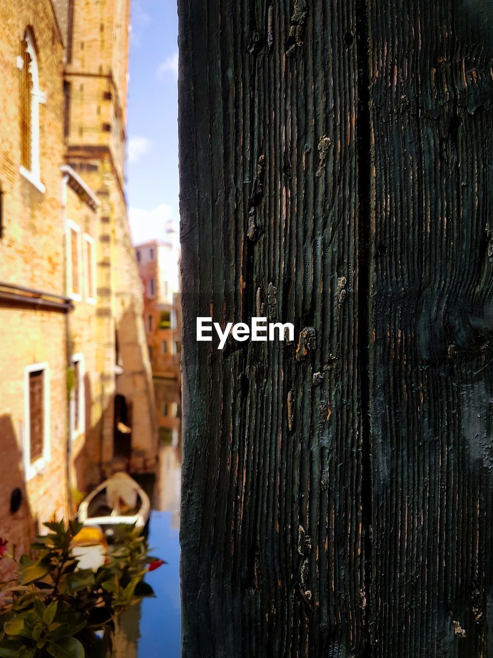 CLOSE-UP OF TREE TRUNK AGAINST BUILDING