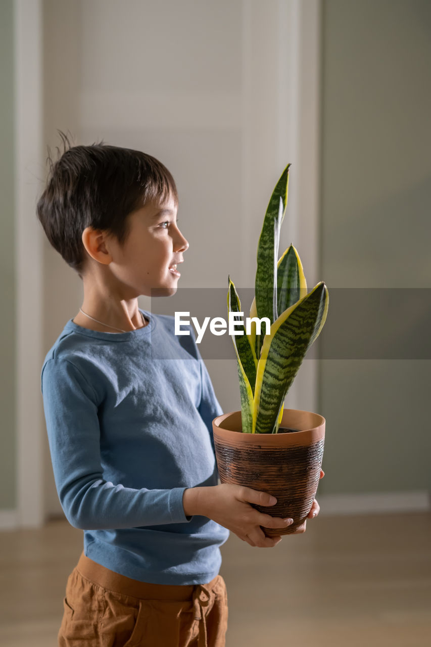 A boy holds a flower pot with sansevieria.