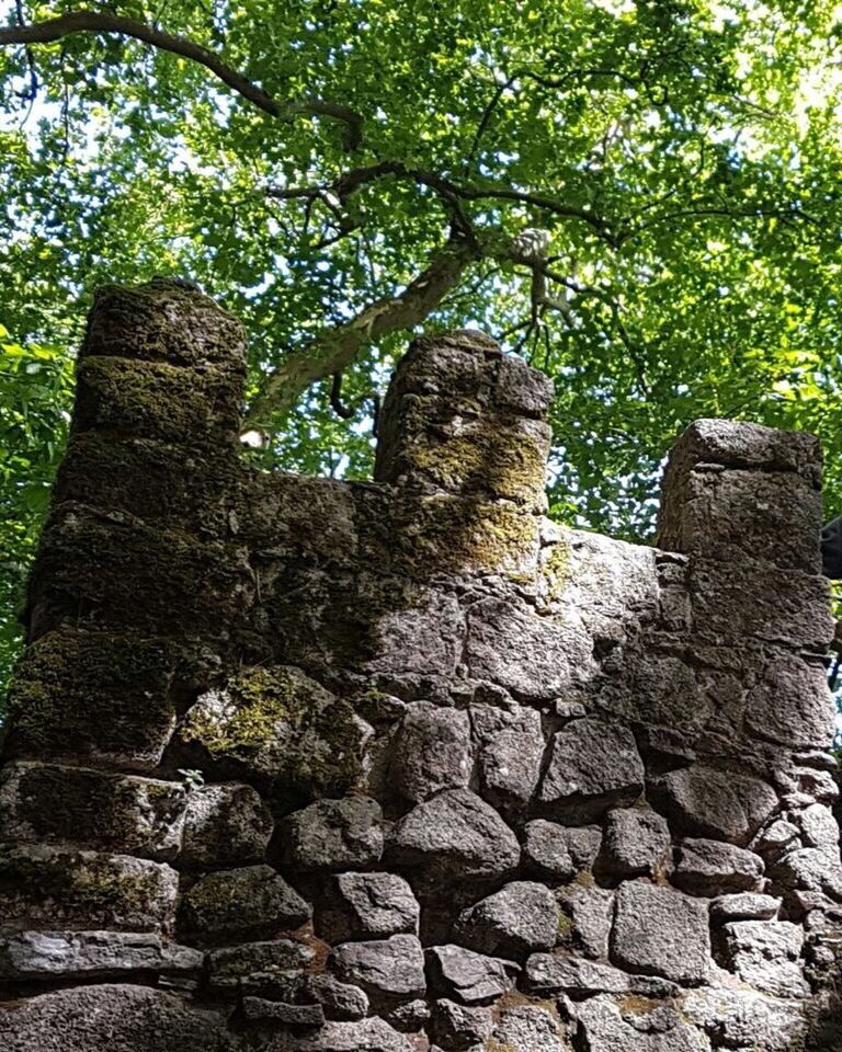 STONE WALL OF OLD RUIN