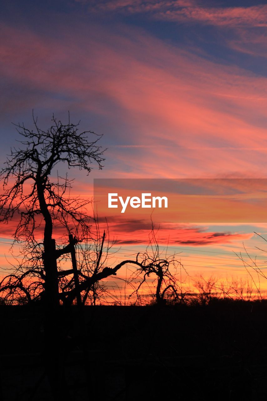 SILHOUETTE BARE TREES ON LANDSCAPE AGAINST ROMANTIC SKY