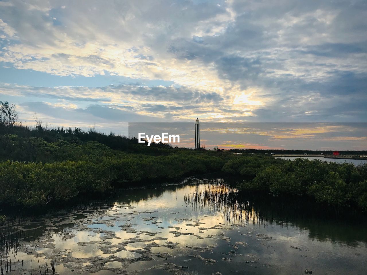 Swamp against sky during sunset