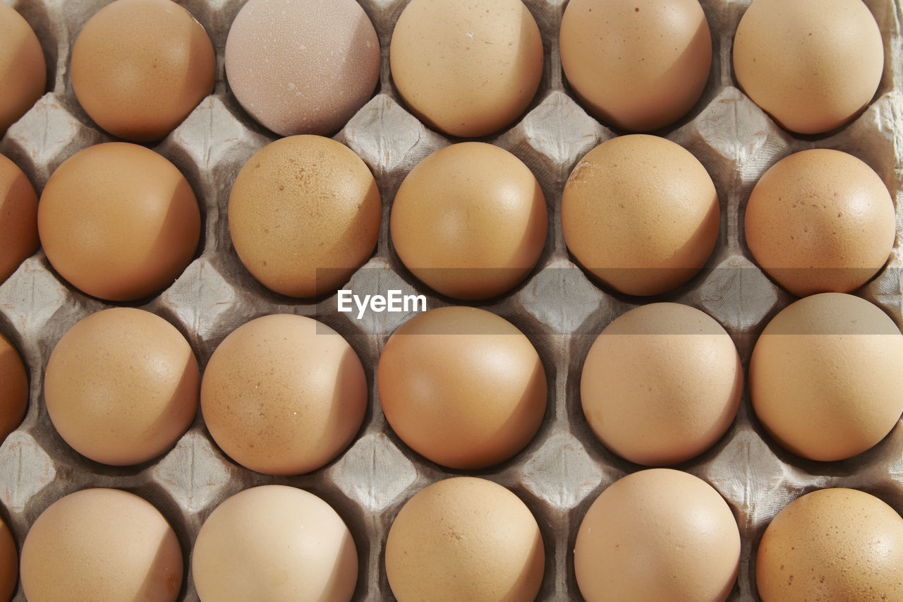 Close-up of eggs in cartoon