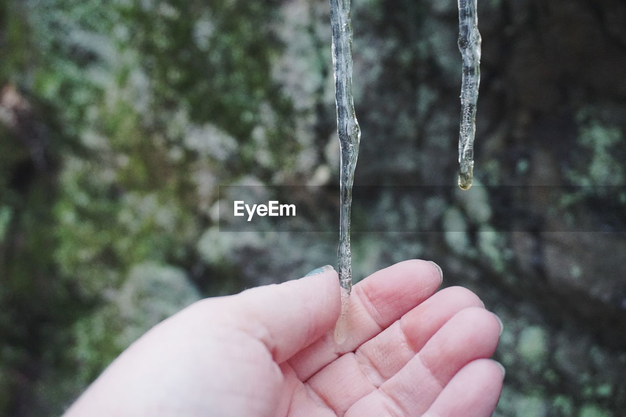 Cropped hand touching icicles