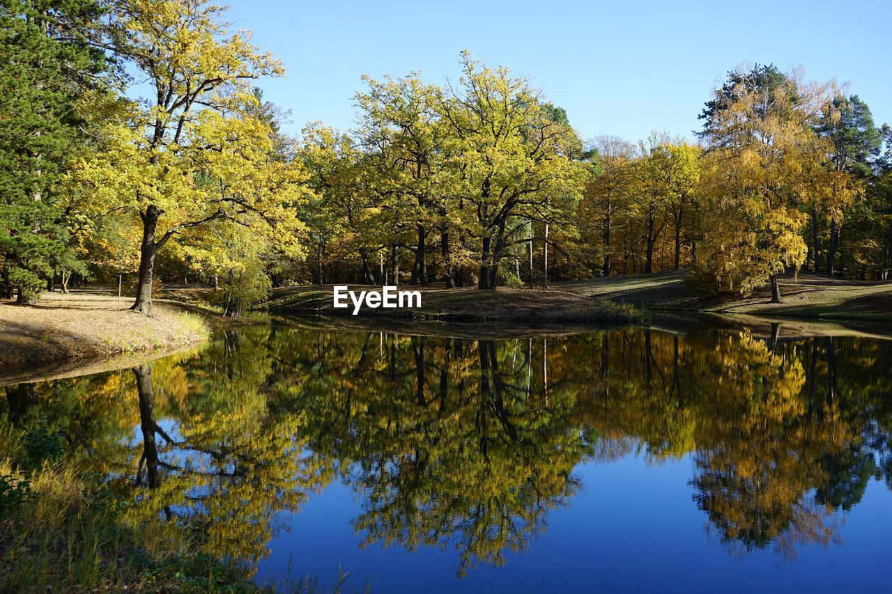 Reflection of trees in lake against sky