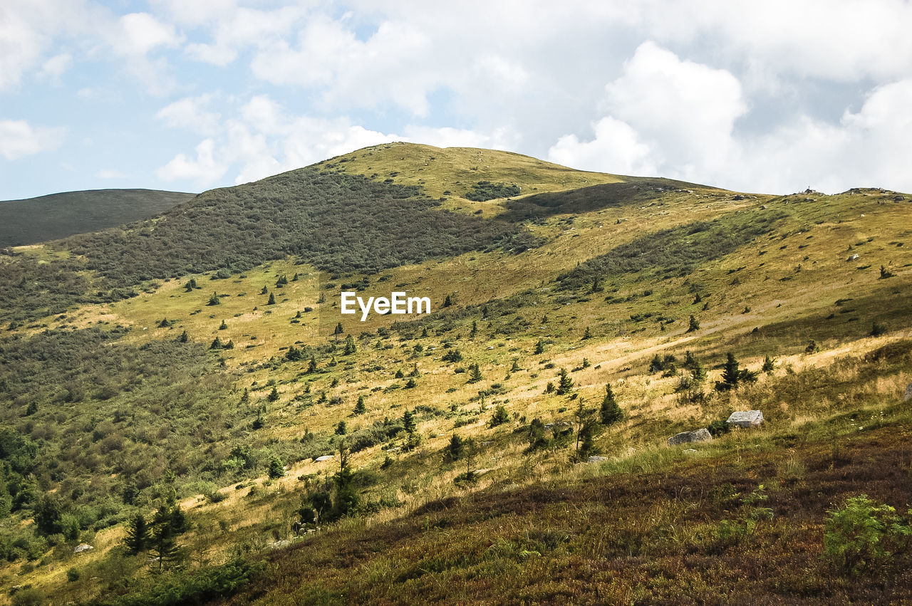 SCENIC VIEW OF LAND AGAINST SKY