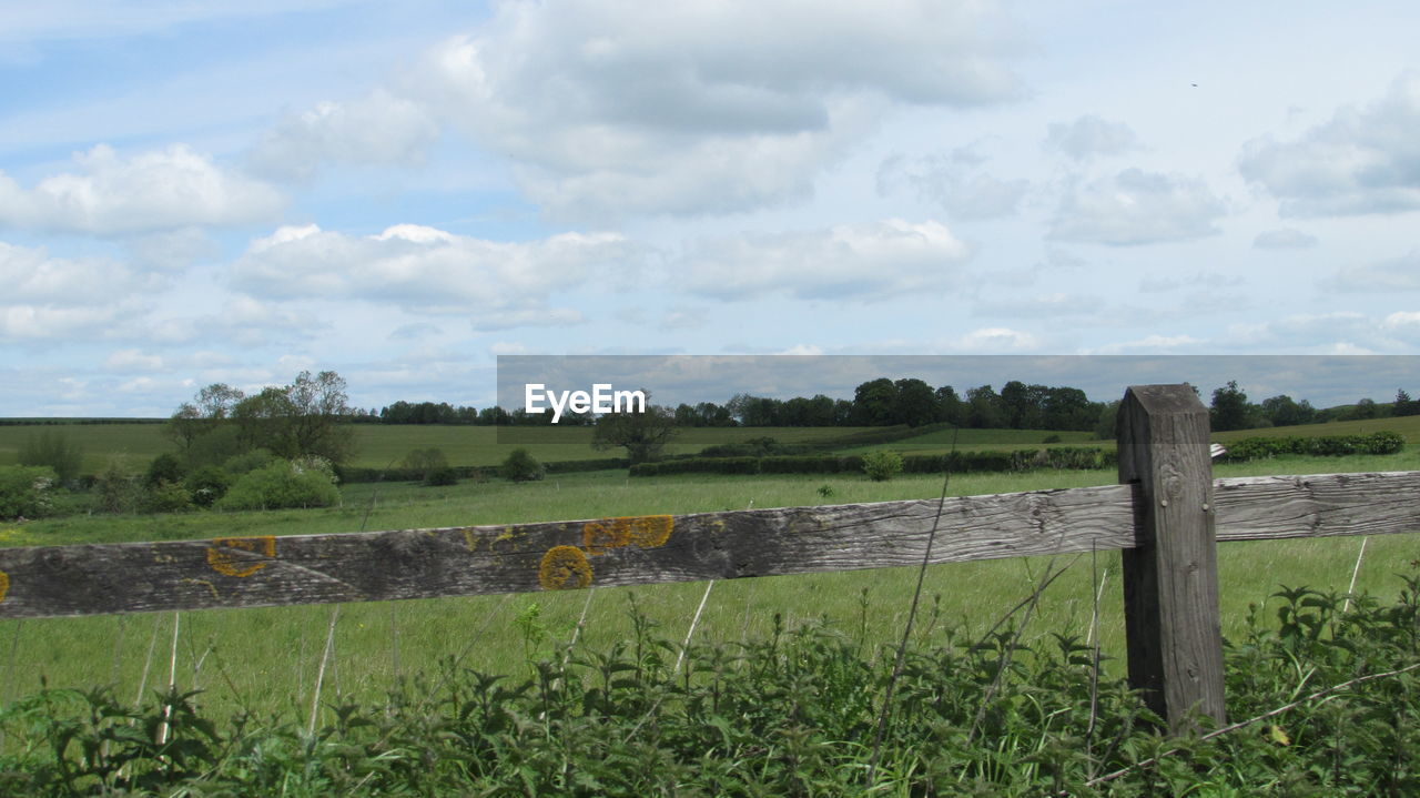 SCENIC VIEW OF GRASSY FIELD AGAINST SKY