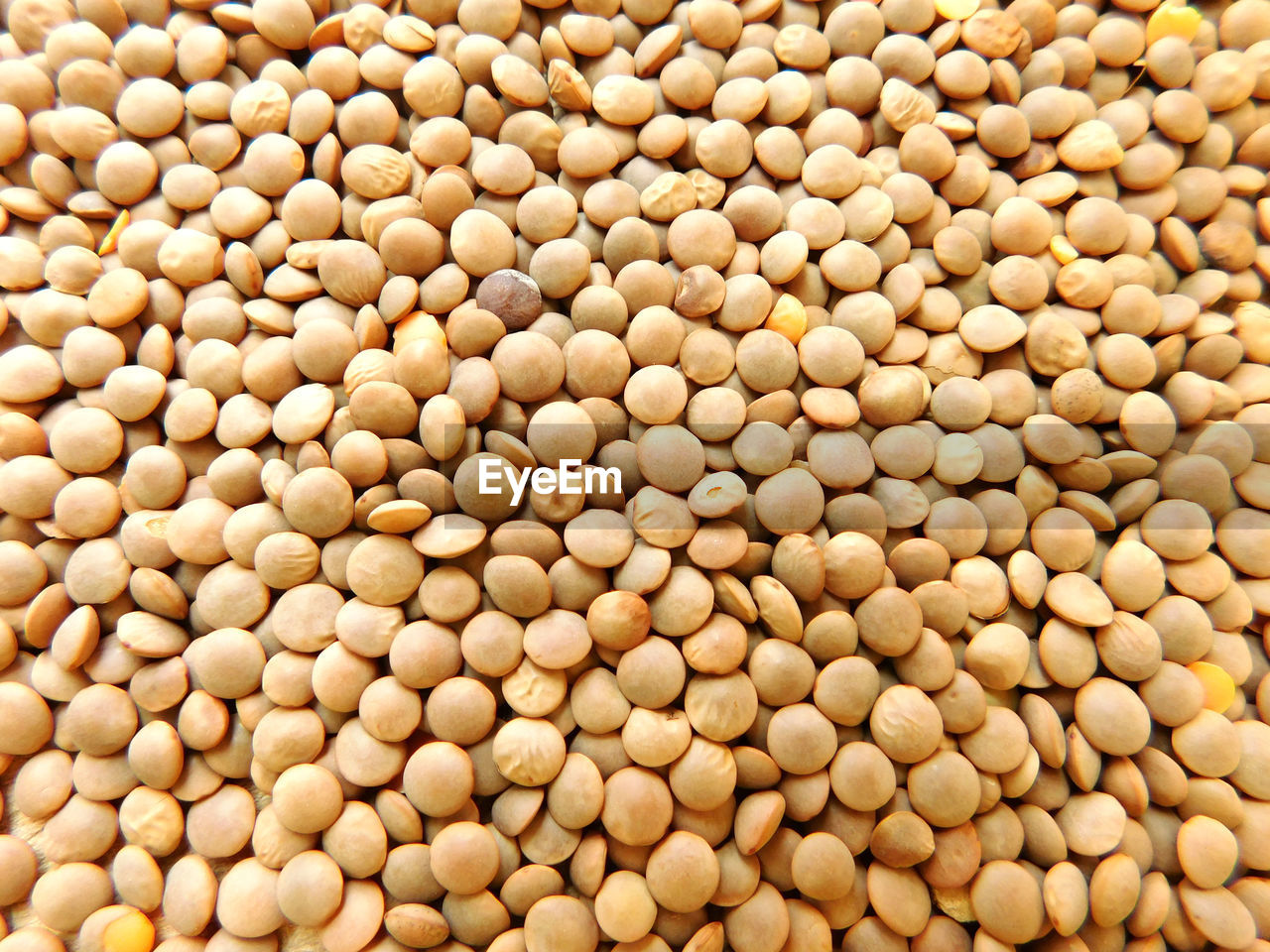 High angle view of lentils