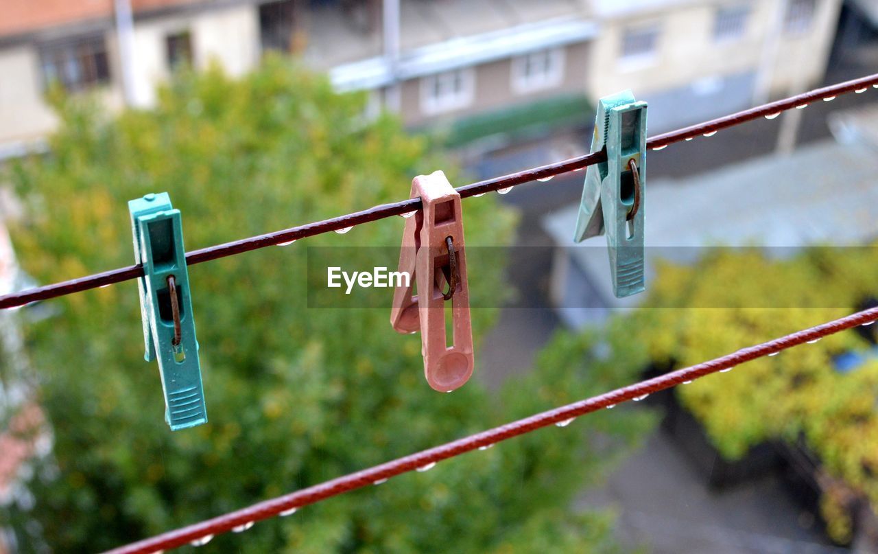 Close-up of clothes hanging on clothesline