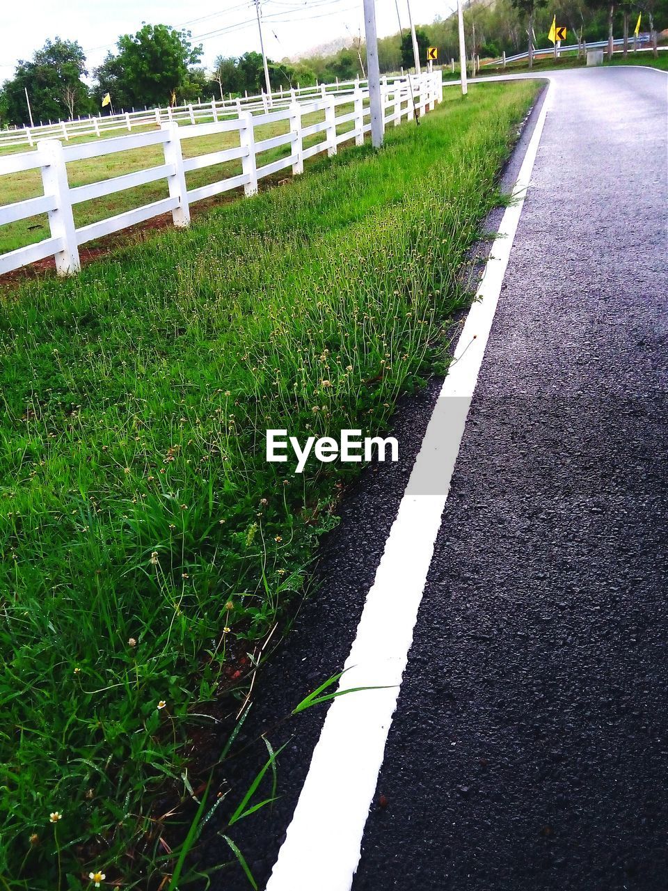 ROAD AMIDST GRASSY FIELD