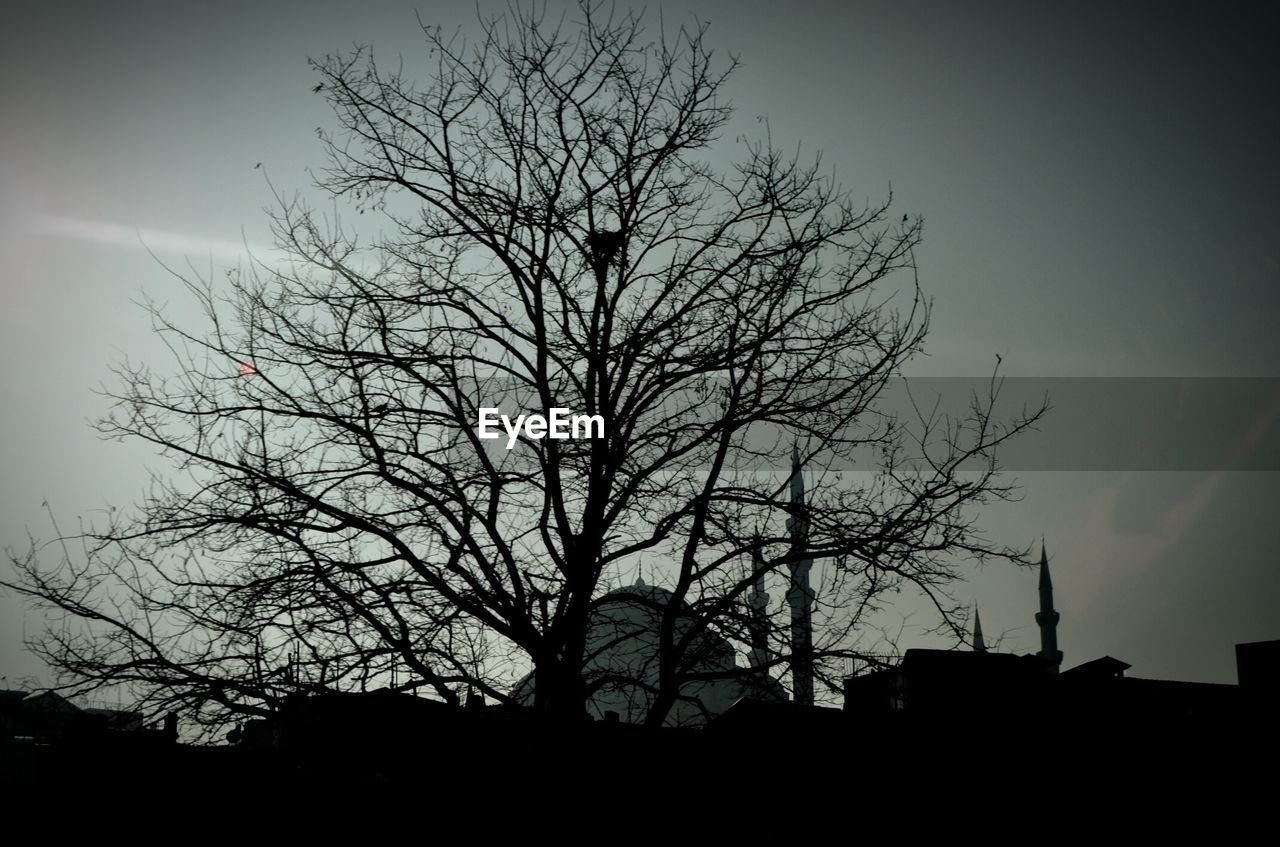 LOW ANGLE VIEW OF SILHOUETTE BARE TREES AGAINST SKY