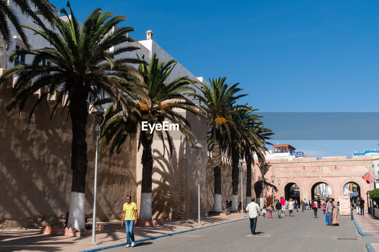 GROUP OF PEOPLE WALKING ON PALM TREE