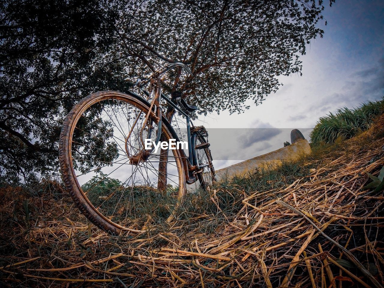 BICYCLE PARKED ON FIELD