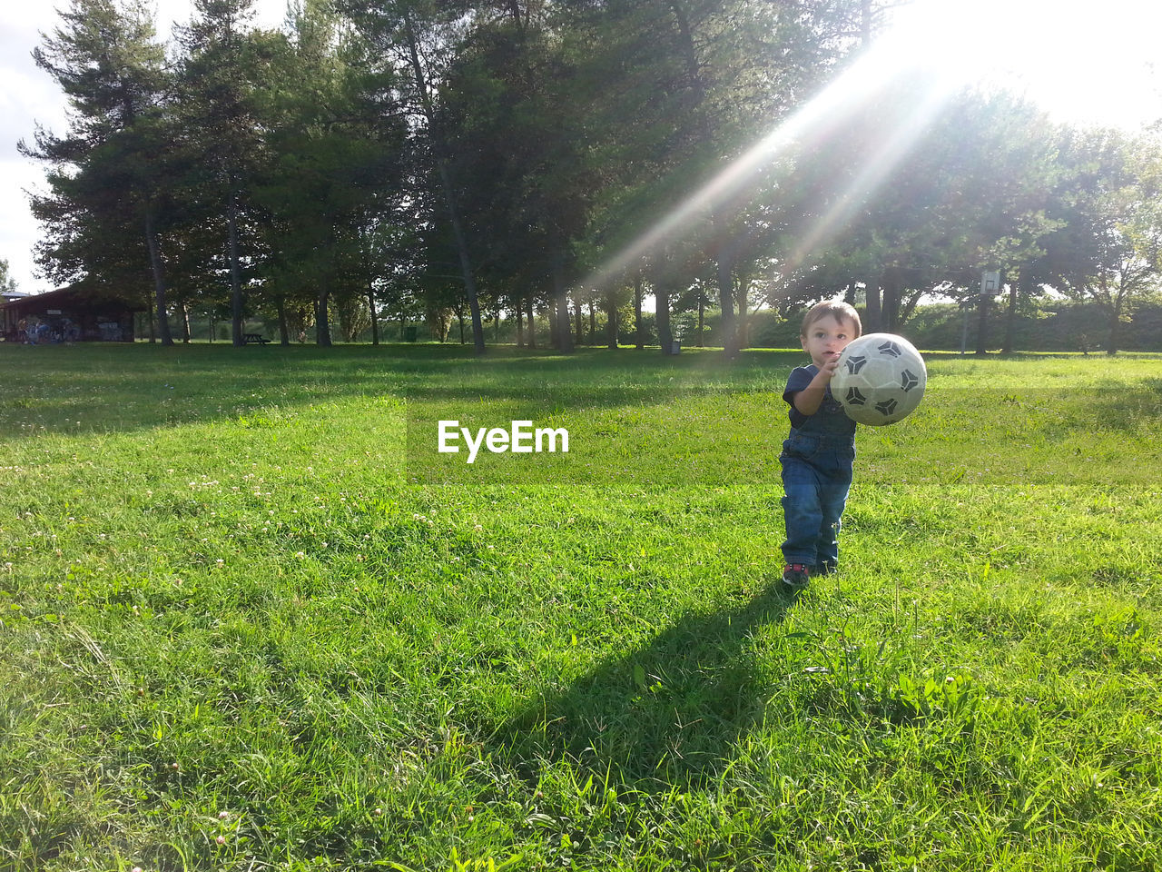 Boy with football standing on field by tree