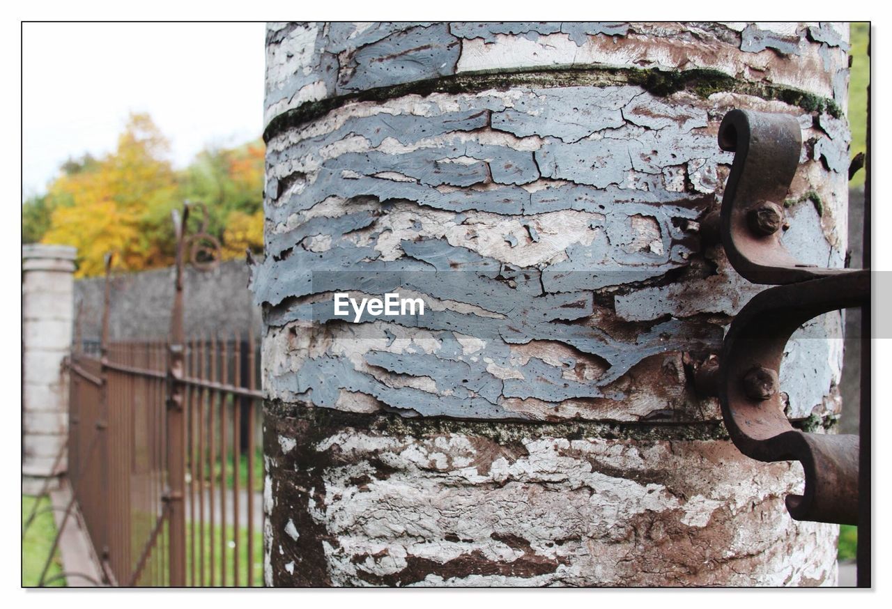 CLOSE-UP OF WEATHERED WOOD