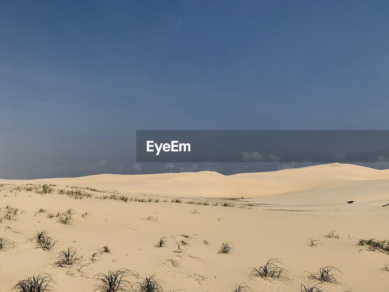 Scenic view of desert against sky