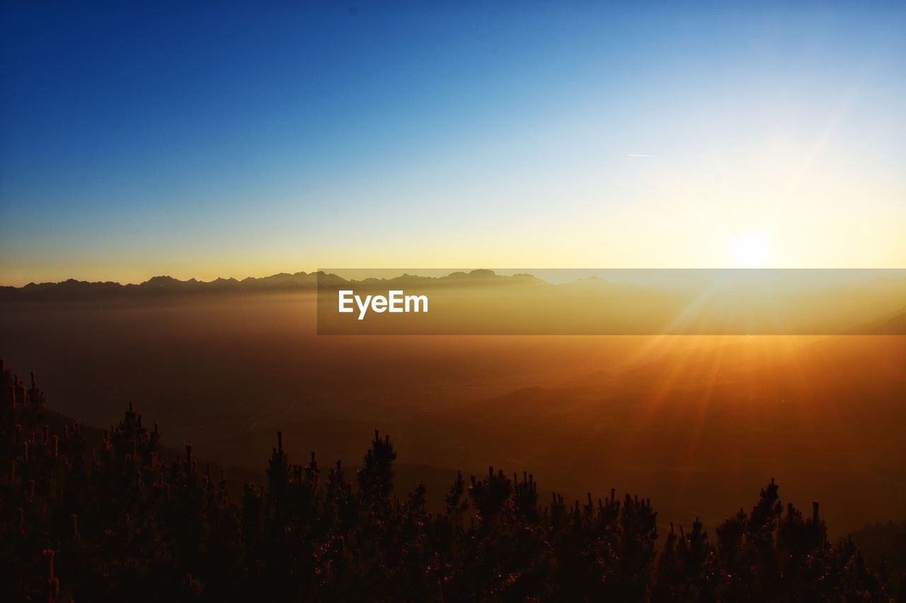 Scenic view of silhouette plants against sky during sunset