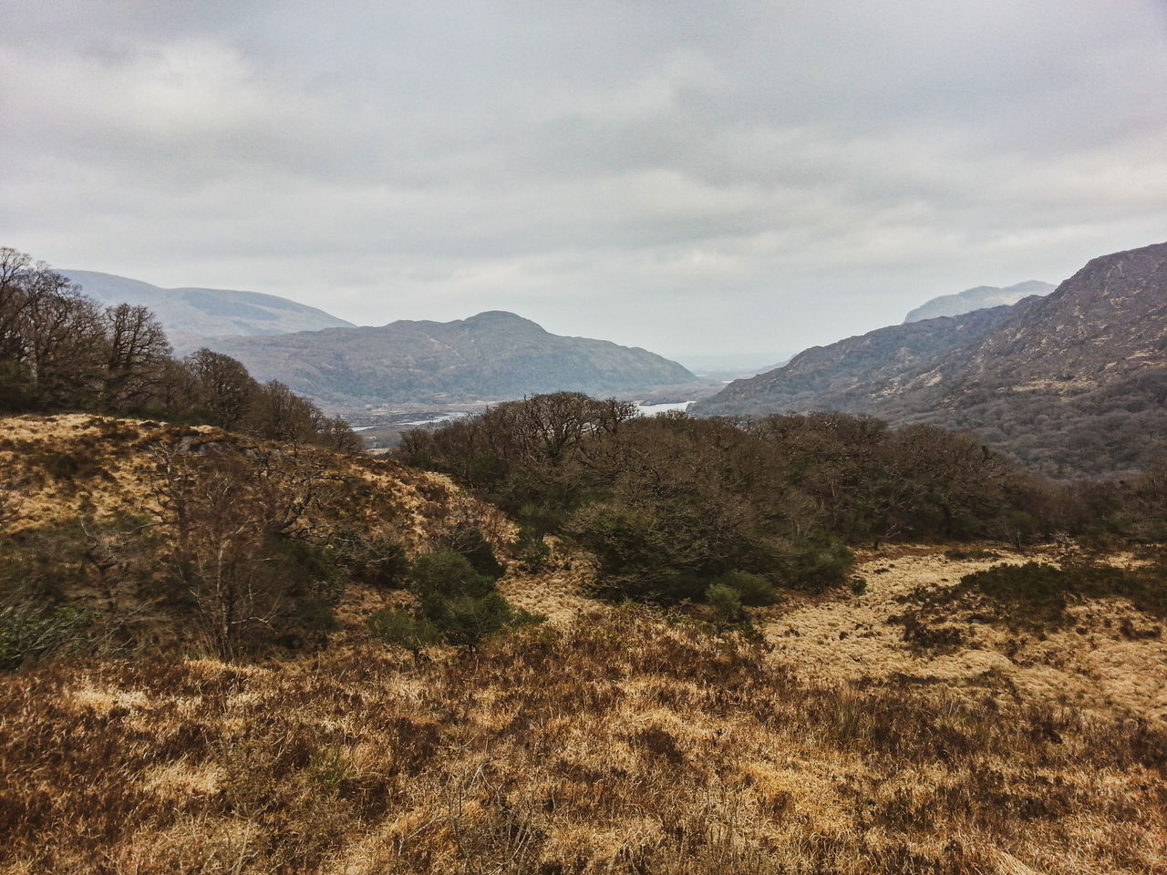 SCENIC VIEW OF LAND AGAINST SKY