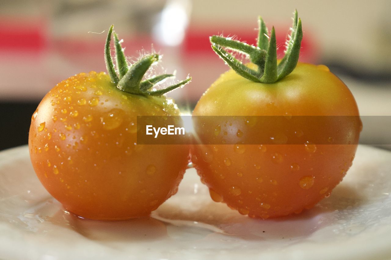 Close-up of wet fruit on table tomates 
