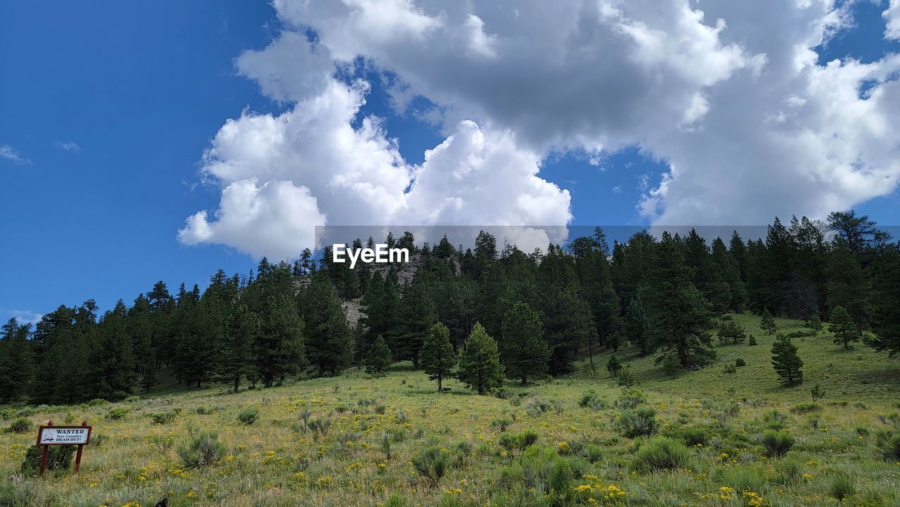 PANORAMIC VIEW OF LANDSCAPE AGAINST SKY