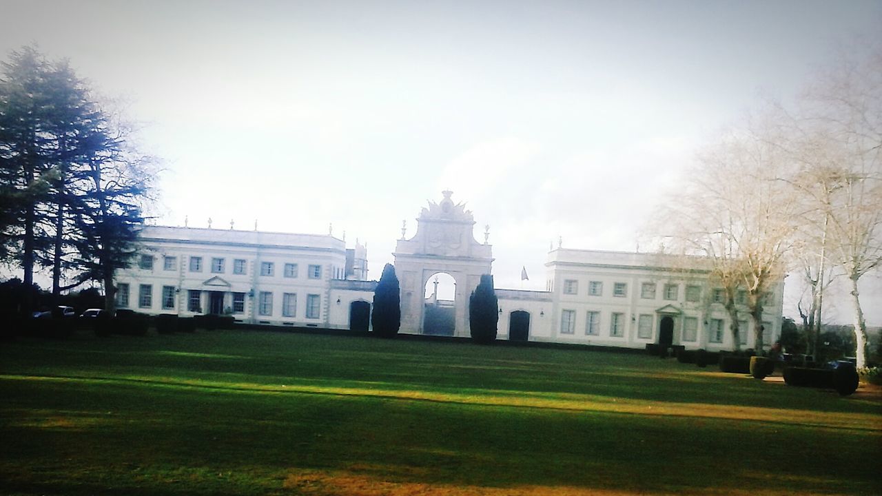 LAWN WITH LAWN IN FOREGROUND