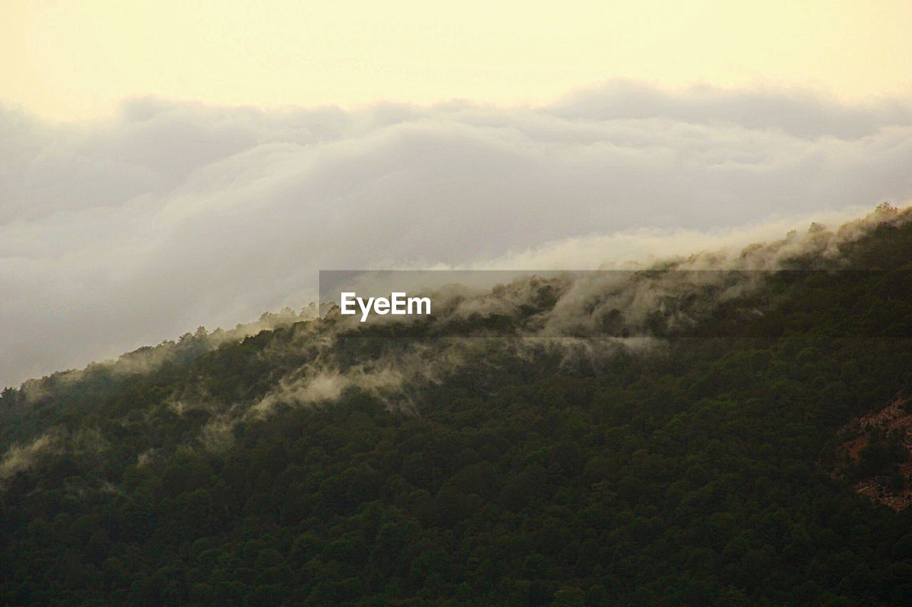 Scenic view of green mountain in foggy weather