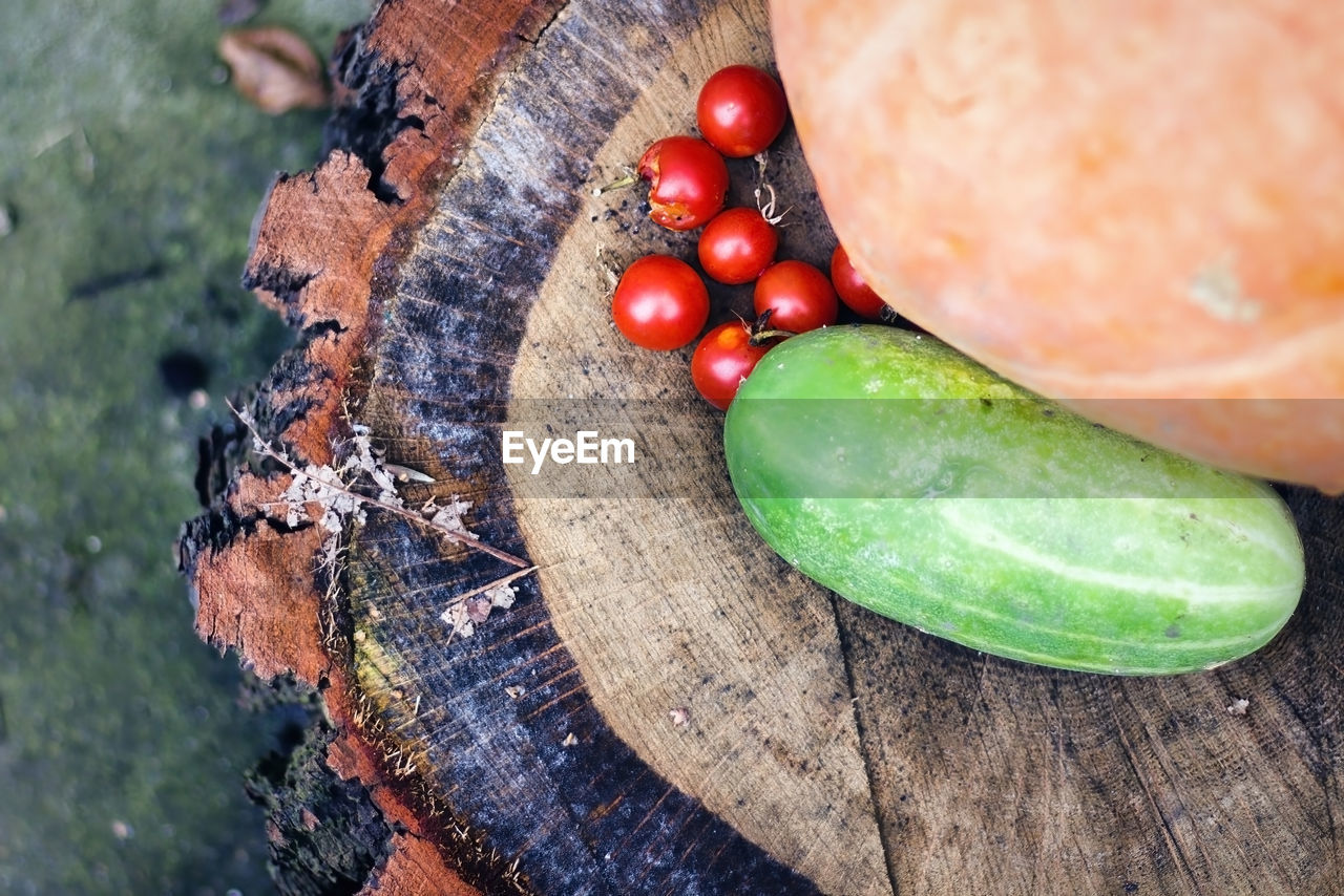 Mix vegetable on a wooden log such as, cucumber and tomato on wooden table. vegetables harvest 