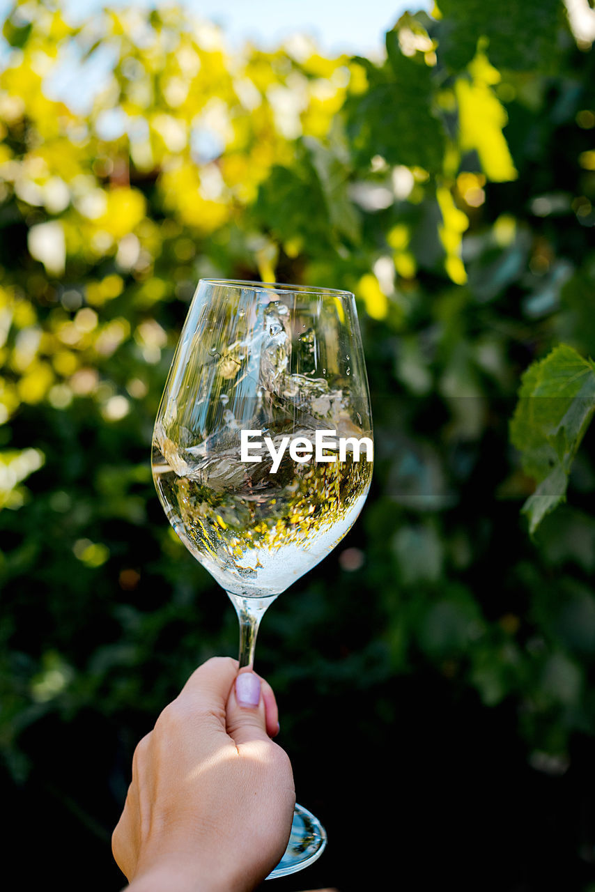 cropped hand of person holding wineglass
