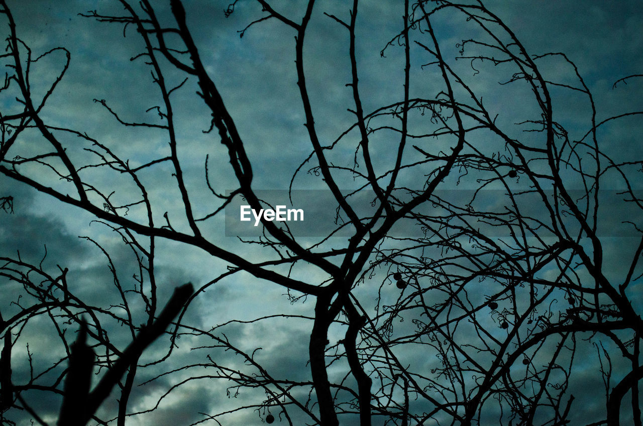 Low angle view of bare tree against sky